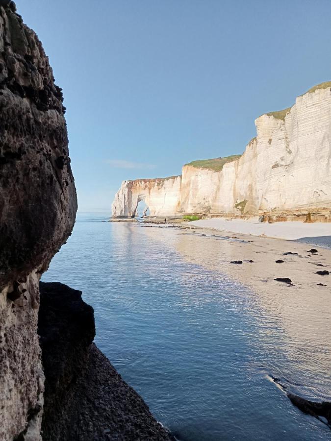 Les Charmes Du Bosquet Parc D'Amour Et Nature Parking Prive Securise Etretat Luaran gambar