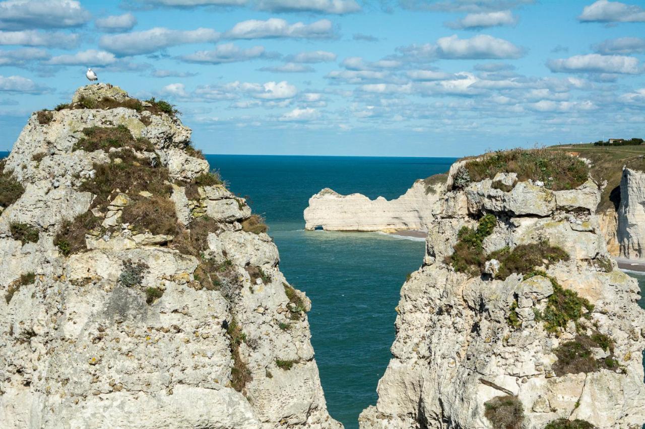 Les Charmes Du Bosquet Parc D'Amour Et Nature Parking Prive Securise Etretat Luaran gambar